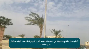 تحذير من ارتفاع ملحوظ في نسب الرطوبة خلال الأيام القادمة.. كيف ستؤثر على طقسك؟